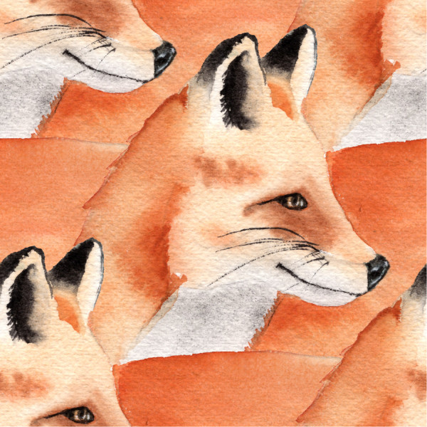 Fuchsprint-Sweatshirt-Stoff: Orange mit lebendigen Fuchsköpfen 